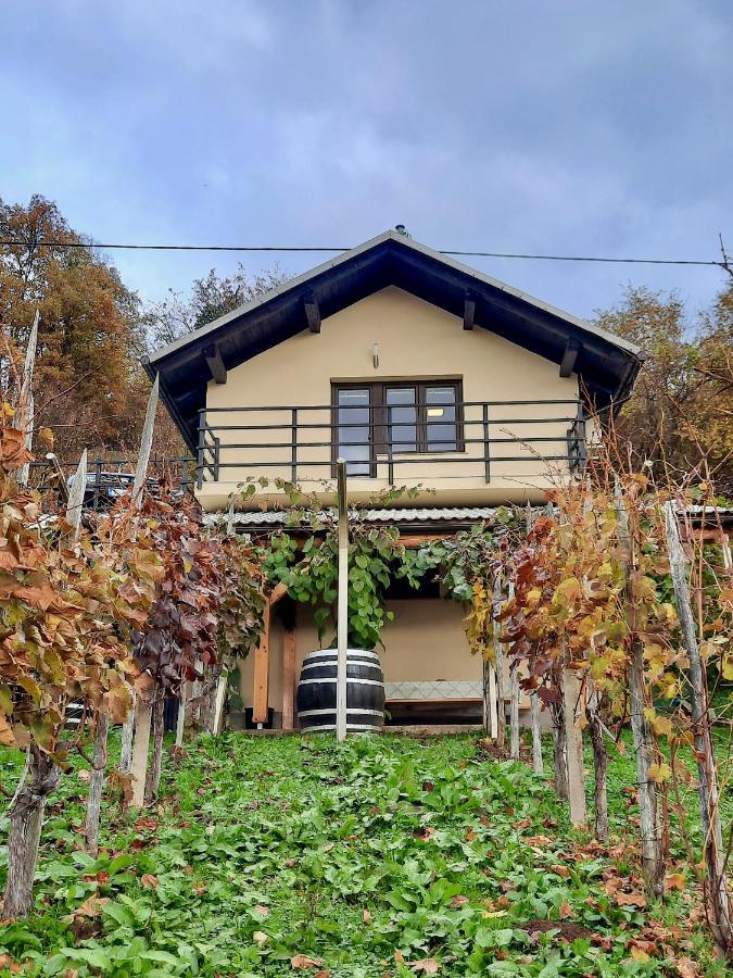 Ursna Sela Vineyard Cottage Kulovec מראה חיצוני תמונה