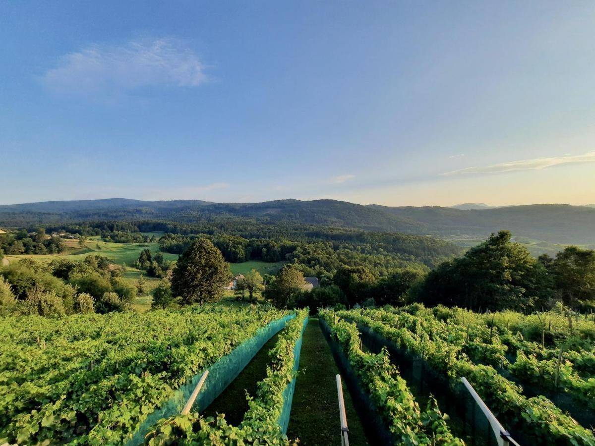 Ursna Sela Vineyard Cottage Kulovec מראה חיצוני תמונה