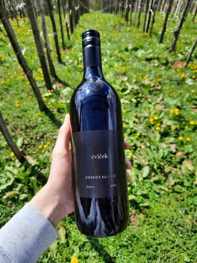 Ursna Sela Vineyard Cottage Kulovec מראה חיצוני תמונה